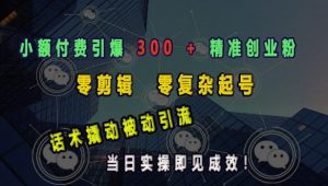 小额付费引爆 300 + 精准创业粉，零剪辑、零复杂起号，话术撬动被动引流，当日实操即见成效-就爱副业网