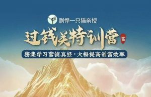 剽悍一只猫-过钱关特训营，学习营销真经 大幅度提高创富效率-就爱副业网