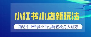 小红书小店新玩法，蹭这个IP带货，小白也能轻松月入过W【揭秘】-就爱副业网