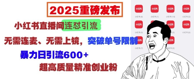 久爱副业网,网赚项目,网赚论坛博客网分享2025重磅发布：小红书直播间连怼引流，无需连麦、无需上镜，突破单号限制，暴力日引流600+