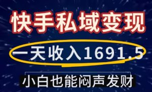 一天收入1691.5，快手私域变现，小白也能闷声发财-就爱副业网