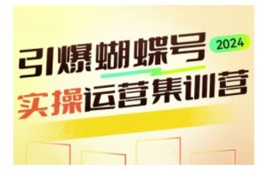 引爆蝴蝶号实操运营，助力你深度掌握蝴蝶号运营，实现高效实操，开启流量变现之路-就爱副业网