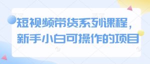 短视频带货系列课程，新手小白可操作的项目-就爱副业网