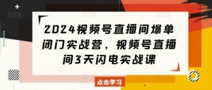 2024视频号直播间爆单闭门实战营，视频号直播间3天闪电实战课-就爱副业网