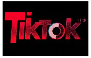 TikTok ads投流秘籍，涵盖tiktok整体投放思路，教你搭建测试计划-就爱副业网