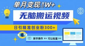 无脑搬运视频号可批量复制，新手即可操作，日引精准创业粉300+，月变现过W 【揭秘】-就爱副业网