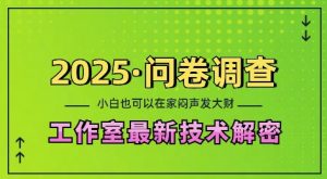 2025问卷调查最新工作室技术解密：一个人在家也可以闷声发大财，小白一天2张，可矩阵放大【揭秘】-就爱副业网