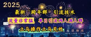 最新“跨年群”引流，流量非常猛，单日引流两人满人群，立马操作立马见效【揭秘】-就爱副业网