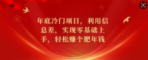 年底冷门项目，利用信息差，实现零基础上手，轻松赚个肥年钱【揭秘】-就爱副业网