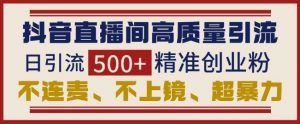 抖音直播间引流创业粉，无需连麦、不用上镜、超暴力，日引流500+高质量精准创业粉-就爱副业网