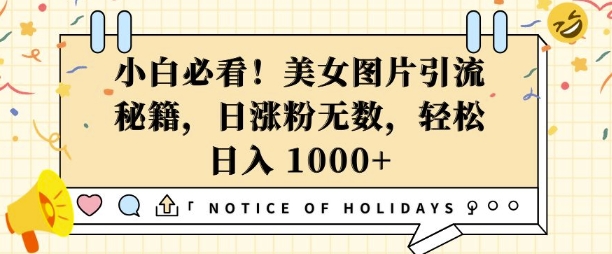 久爱副业网,网赚项目,网赚论坛博客网分享小白必看，美女图片引流秘籍，日涨粉无数，轻松日入几张【揭秘】