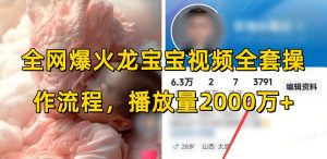 全网爆火龙宝宝视频全套操作流程，播放量2000万+-就爱副业网