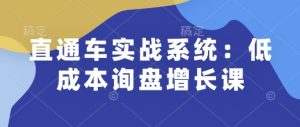 直通车实战系统：低成本询盘增长课，让个人通过技能实现升职加薪，让企业低成本获客，订单源源不断-就爱副业网