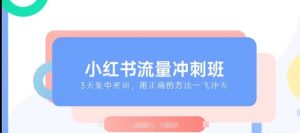 小红书流量冲刺班2025，最懂小红书的女人，快速教你2025年入局小红书-就爱副业网