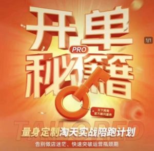 淘宝开单秘籍PRO，量身定制淘天实战陪跑计划，告别做店迷茫、快速突破运营瓶颈期-就爱副业网