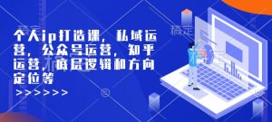 个人ip打造课，私域运营，公众号运营，知乎运营，底层逻辑和方向定位等-就爱副业网