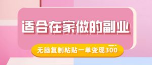 适合在家做的副业，小红书冷知识账号，无脑复制粘贴一单变现300-就爱副业网