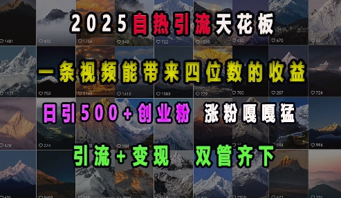 久爱副业网,网赚项目,网赚论坛博客网分享2025自热引流天花板，一条视频能带来四位数的收益，引流+变现双管齐下，日引500+创业粉，涨粉嘎嘎猛