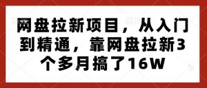 网盘拉新项目，从入门到精通，靠网盘拉新3个多月搞了16W-就爱副业网