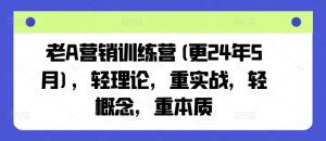 老A营销训练营(更24年12月)，轻理论，重实战，轻概念，重本质-就爱副业网