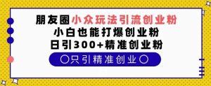 朋友圈小众玩法引流创业粉，小白也能打爆创业粉，日引300+精准创业粉【揭秘】-就爱副业网