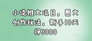 小说推文项目，图文创作玩法，新手10天挣3000-就爱副业网