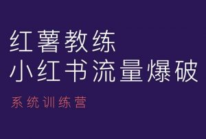 红薯教练-小红书内容运营课，小红书运营学习终点站-就爱副业网