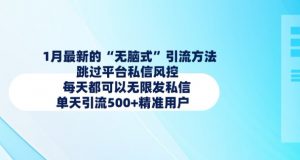 1月最新的无脑式引流方法，跳过平台私信风控，每天都可以无限发私信，单天引流500+精准用户-就爱副业网