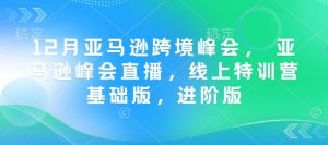 12月亚马逊跨境峰会， 亚马逊峰会直播，线上特训营基础版，进阶版-就爱副业网