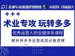 术业专攻玩转多多，优秀运营人的全面体系课程，解析拼多多运营底层必备逻辑-就爱副业网