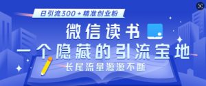 微信读书，一个隐藏的引流宝地，不为人知的小众打法，日引流300+精准创业粉，长尾流量源源不断-就爱副业网