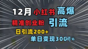 小红书一张图片“引爆”创业粉，单日+200+精准创业粉 可筛选付费意识创业粉【揭秘】-就爱副业网