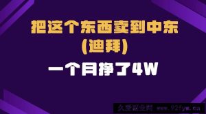 （13740期）跨境电商一个人在家把货卖到迪拜，暴力项目拆解-就爱副业网