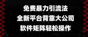 （13745期）免费暴力引流法，全新平台，背靠大公司，软件矩阵轻松操作-就爱副业网