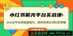 （13775期）小红书 聚光平台实战课，从认识平台到投放技巧，助你实现从0到1的突破-就爱副业网