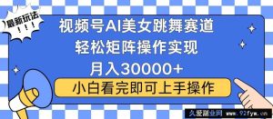 （13813期）视频号蓝海赛道玩法，当天起号，拉爆流量收益，小白也能轻松月入30000+-就爱副业网