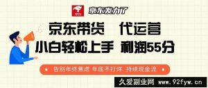 （13833期）京东带货 代运营 利润55分 告别年终焦虑 年底不打烊 持续现金流-就爱副业网