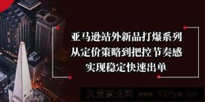 （13970期）亚马逊站外新品打爆系列，从定价策略到把控节奏感，实现稳定快速出单-就爱副业网