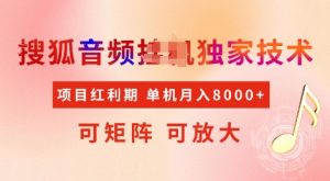 全网首发搜狐音频挂JI独家技术，项目红利期，可矩阵可放大，稳定月入8k【揭秘】-就爱副业网