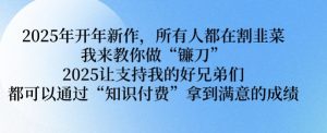 2025年开年新作，所有人都在割韭菜，我来教你做“镰刀” 2025让支持我的好兄弟们都可以通过“知识付费”拿到满意的成绩【揭秘】-就爱副业网