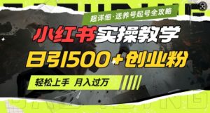 2月小红书最新日引500+创业粉实操教学【超详细】小白轻松上手，月入1W+，附小红书养号起号SOP-就爱副业网