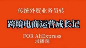 跨境电商速卖通运营课，​运营方法论+后台实操，逻辑清晰-就爱副业网