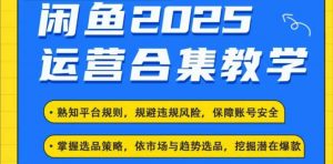 2025闲鱼电商运营全集，2025最新咸鱼玩法-就爱副业网