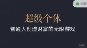 超级个体2024-2025翻盘指南，普通人创造财富的无限游戏-就爱副业网