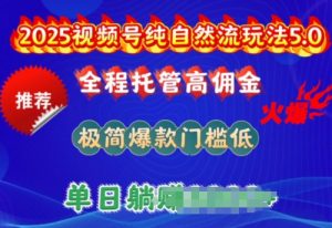 2025视频号纯自然流玩法5.0，全程托管高佣金，极简爆款门槛低，单日收益多张【揭秘】-就爱副业网