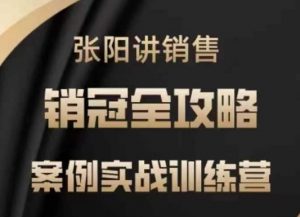 张阳讲销售实战训练营，​案例实战训练，销冠全攻略-就爱副业网