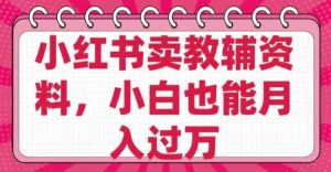 小红书卖教辅资料，0 成本，纯利润，售后成本极低，小白也能月入过W-就爱副业网