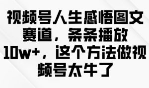 视频号人生感悟图文赛道，条条播放10w+，这个方法做视频号太牛了-就爱副业网