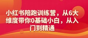 小红书陪跑训练营，从6大维度带你0基础小白，从入门到精通-就爱副业网