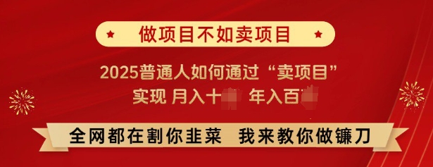 久爱副业网,网赚项目,网赚论坛博客网分享必看，做项目不如卖项目，2025普通人如何通过“卖项目”实现月入十个，年入百个